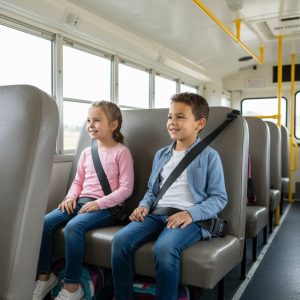 cinturón de seguridad