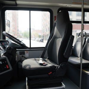 Cinturón de Seguridad